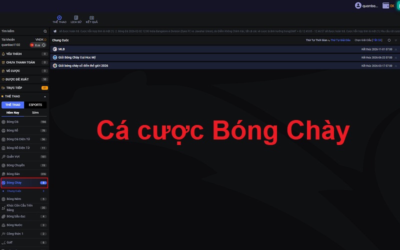 Cá cược Bóng Chày là gì? Bí quyết đánh đâu thắng đó từ Vi68