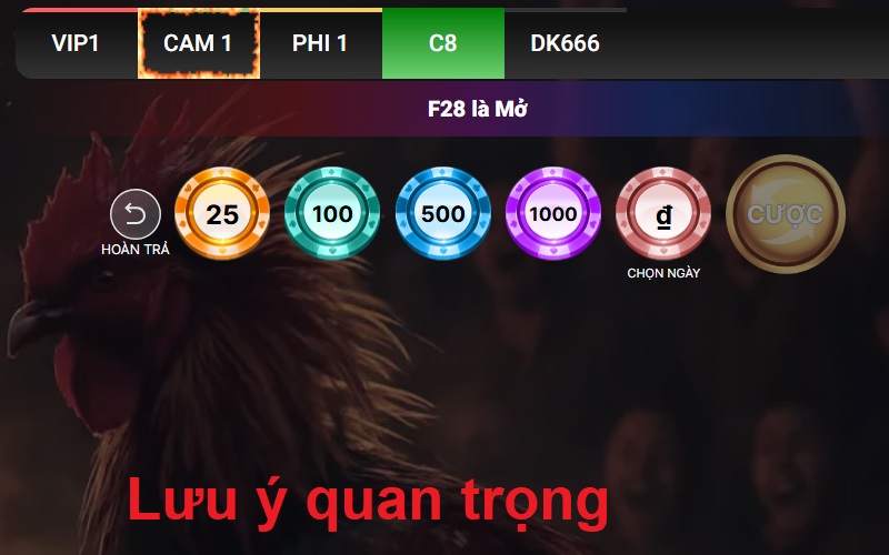 Lưu ý quan trọng